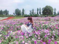 -紫颐香薰山谷景区