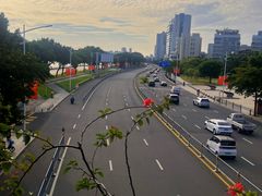 -金砂公园