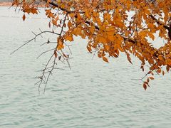 -昆山城市生态森林公园