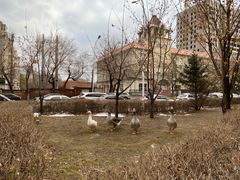 -鑫日千里马朝鲜族小馆(总店)