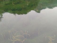 -沕沕水生态风景区