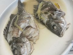 油盐焗立鱼-花城苑广府菜(侨鑫店)