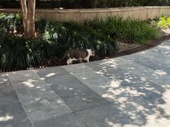 -Wagas沃歌斯(大学路店)