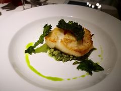 -王品牛排(郑州大卫城店)