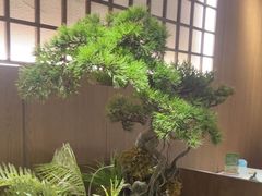 -湘邻呷铺·田园家宴(汉基广场店)