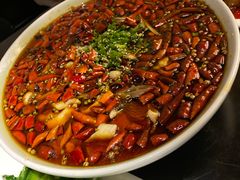 -陈麻婆豆腐总店