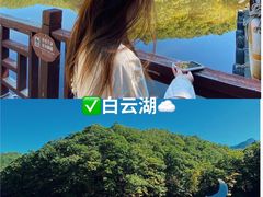 -洛阳白云山景区