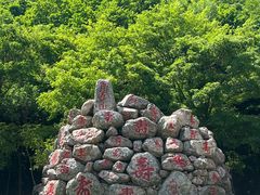 -龙道沟景区