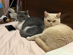 -拜鲁耶动物诊疗中心·宠家动物医院