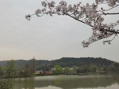 -东钱湖旅游度假区