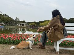 -上海鲜花港