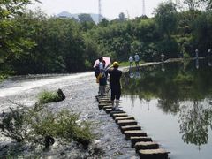 -猫咪博物馆(顶澳仔猫街店)