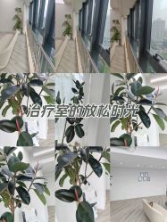 -HEYAN荷妍专业脱毛连锁机构
