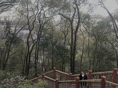-南山植物园