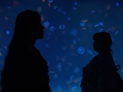 -多彩贵州城极地海洋世界