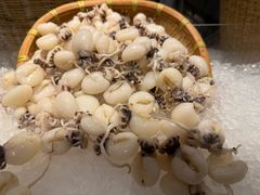 -亚特兰蒂斯-番红花海鲜自助餐厅·鲜活海鲜·小火锅