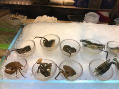 -半岛翡丽海鲜自助餐厅(观风亭店)