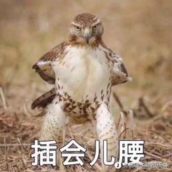 -龙文宝贝上门婴儿理发满月剃胎毛(浦东店)