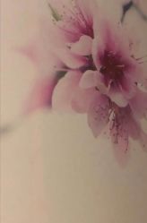 -时尚殿堂·颜SPA