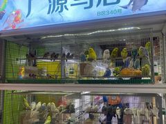 -新官园花鸟鱼虫市场(皖西大厦店)