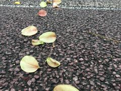 -苏州河梦清园环保主题公园