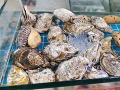 -海之鲜大排档(东山海鲜金銮湾店)