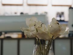 -VESH COFFEE(定西路店)