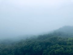 -普陀山风景区-佛顶山