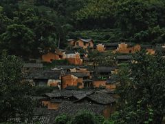-杨家堂村