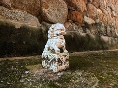 -白水寺森林公园