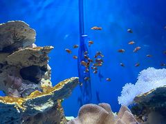-海合安武汉极地海洋公园