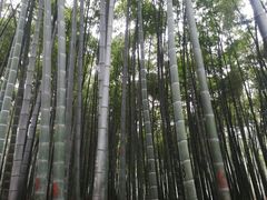 -杭州黄龙洞
