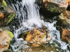 -云溪植物园