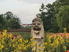 -桂湖森林公园