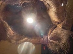 -泥糊破店小酒馆·团建聚餐(南京西路店)