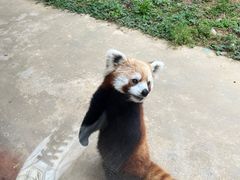-杭州野生动物世界