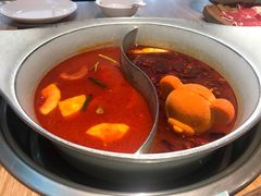 -青瓷火锅料理(西单大悦城店)