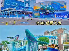 -海合安青岛极地海洋公园