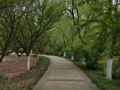 -宝鸡植物园