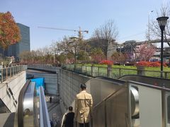 -东方体育中心(地铁站)