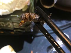 -昆虫窝子·特色云南菜(拓东路总店)