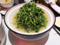 -龙猫意杯花园餐厅(芙蓉湖店)