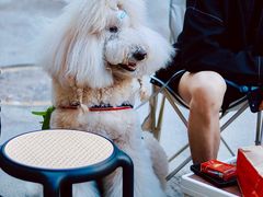 -本無咖啡·BeanWood Coffee