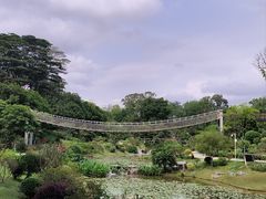 -东莞植物园