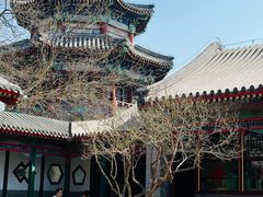 -宫事颐庭·老佛爷贵寿下午茶(颐和园店)