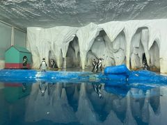 -太平洋海底世界