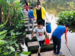 -重庆彩云湖湿地公园