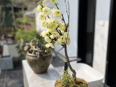 -叁山与肆客服号民宿(龙泉阳光城百工堰公园店)