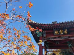 -香山公园