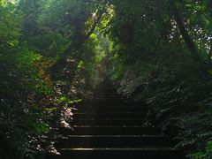 -老君山